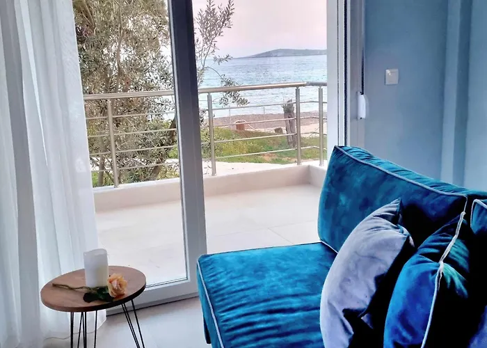 Oliviera * Αστρίδα